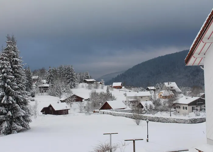 شاليه Le كسونبورت-لونجمير